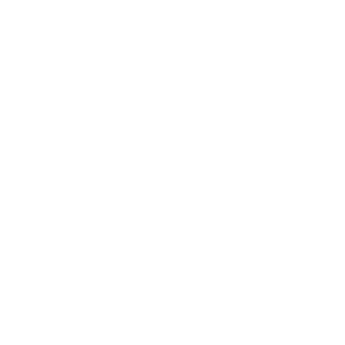 van driver logo noir 4